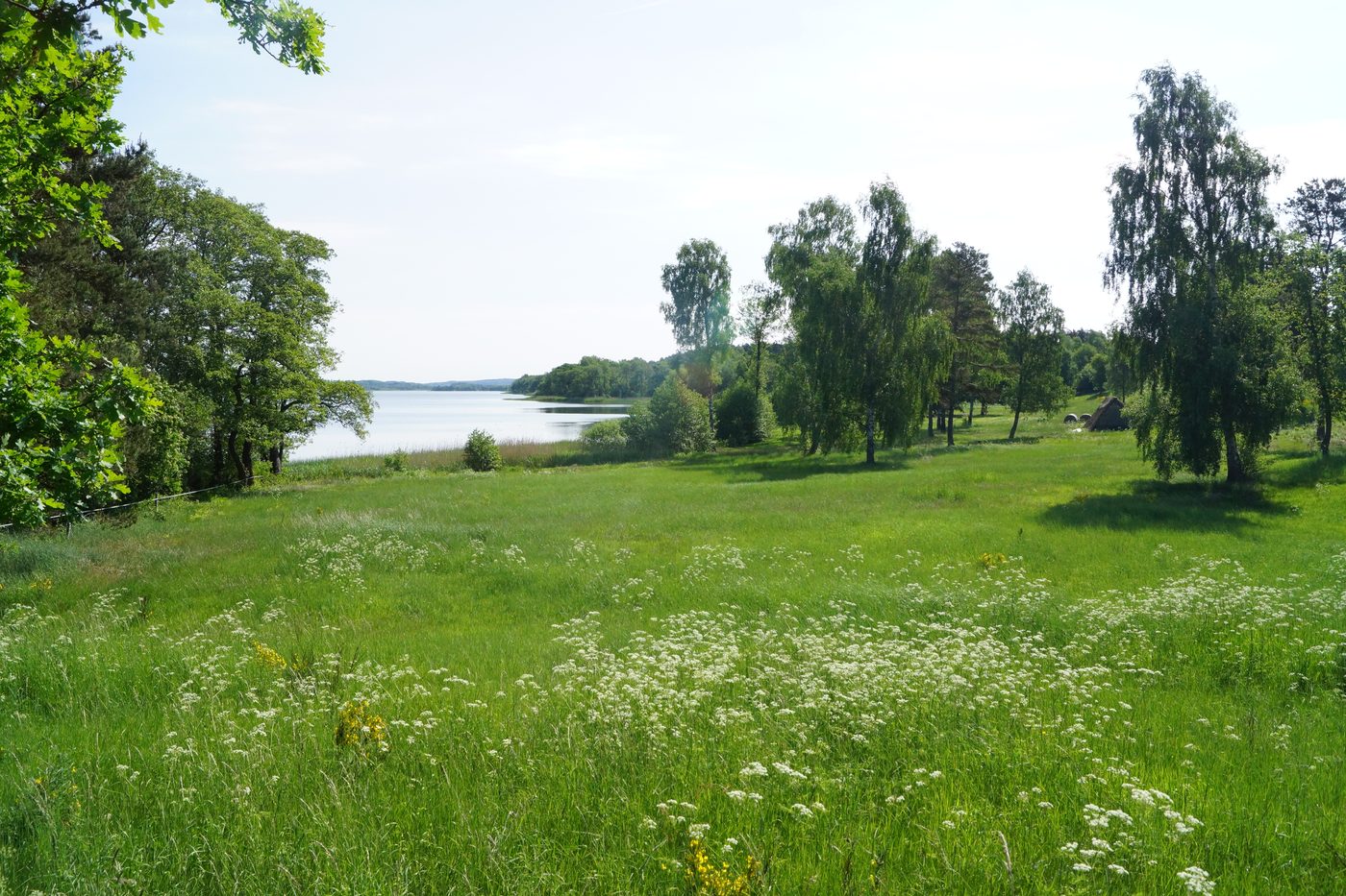 Stubbe Sø in Mols Bjerge — lakeside meadow with a wooden shelter at the right edge
