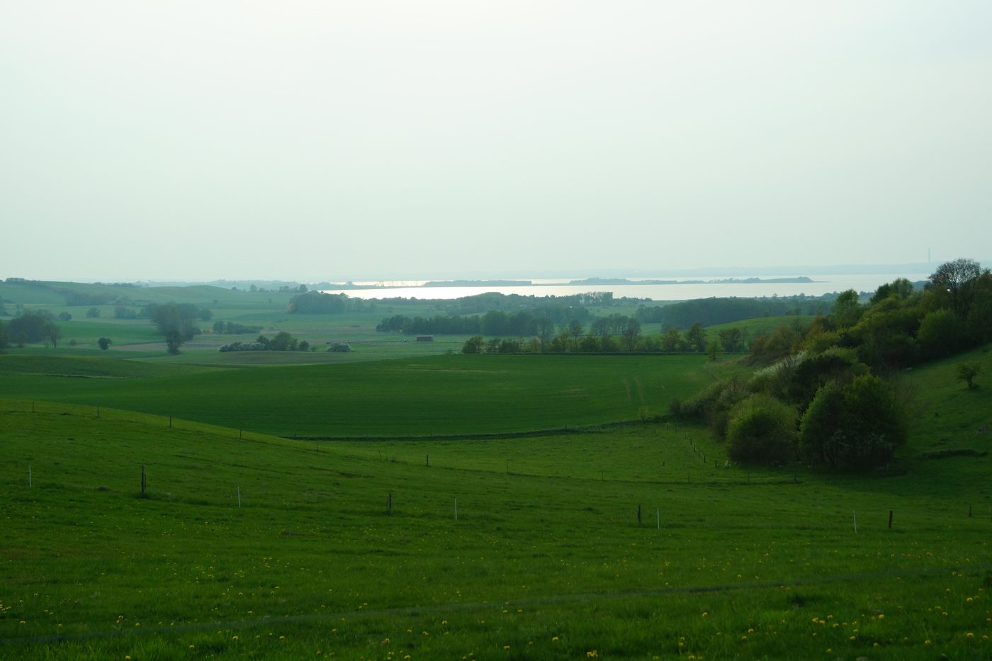 Mols Bjerge ridge looking across Begtrup Vig — rolling moraine landscape with the bay in the distance