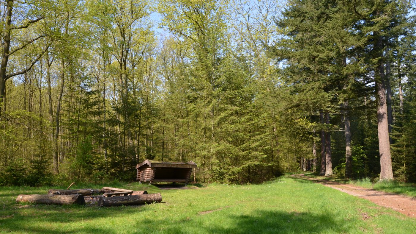 A Naturstyrelsen shelter site near Virklund — open-fronted wooden lean-to in the Søhøjlandet forest