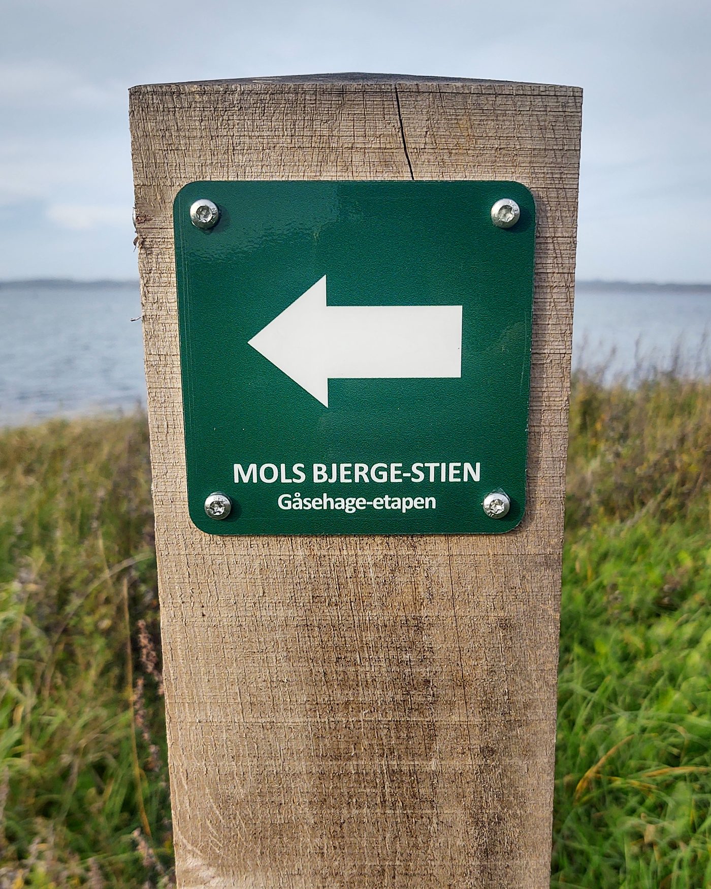 Mols Bjerge trail near Gåsehage — the Danish nature-shelter landscape, heath and beech