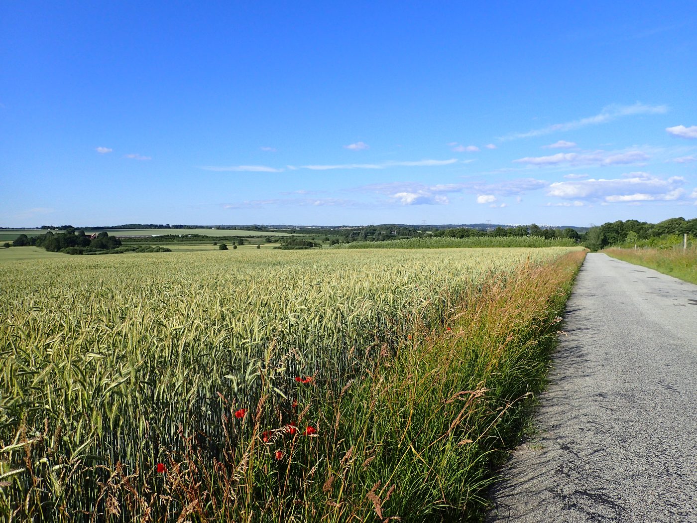 Empty Danish country road cutting through farmland — the kind of stretch range anxiety imagines as endless