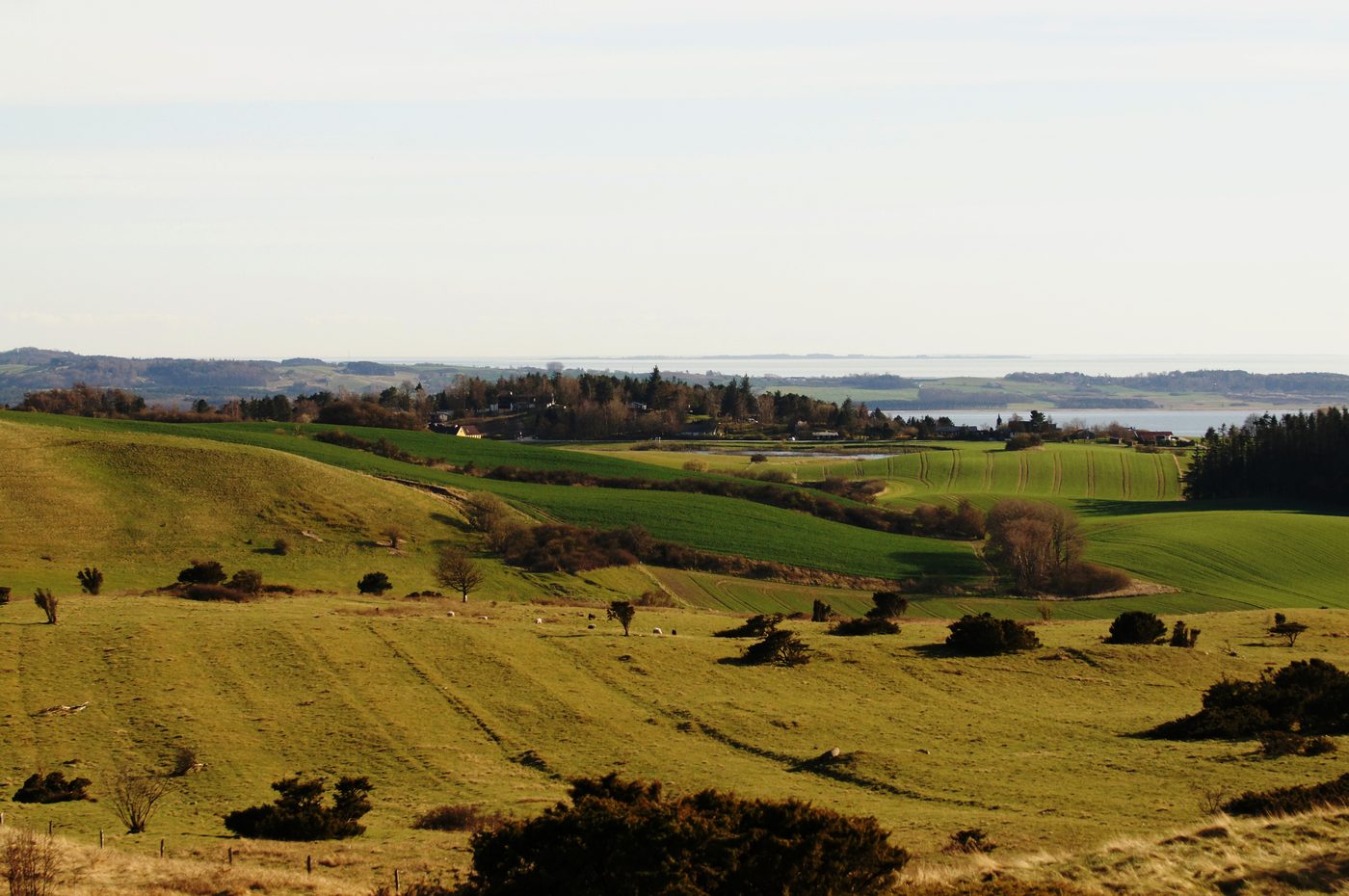 Rolling glacial landscape of Mols Bjerge national park in eastern Jutland under late-afternoon light